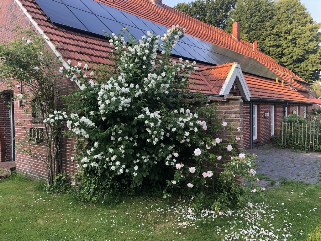 Terrasse der Ferienwohnung